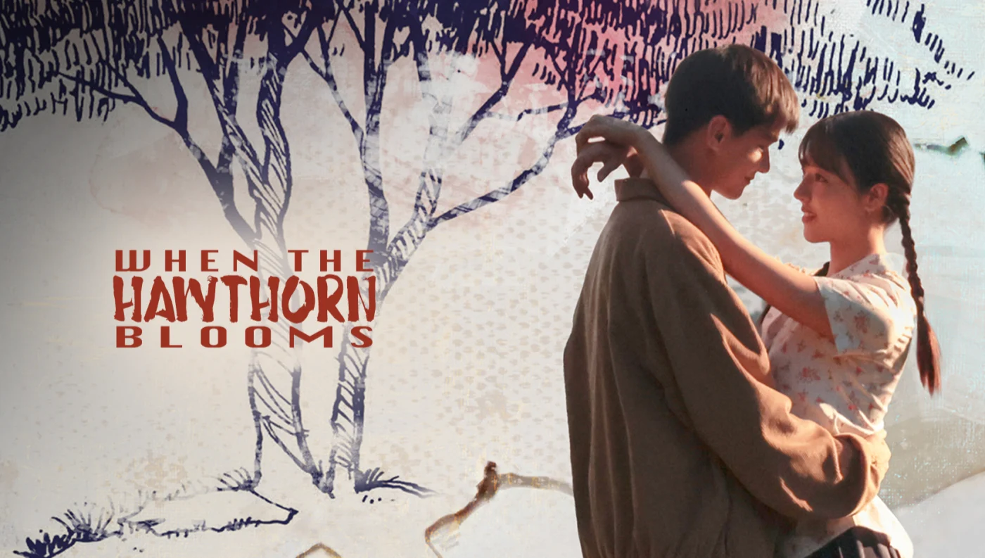 Chuyện Tình Cây Sơn Tra - When The Hawthorn Blooms