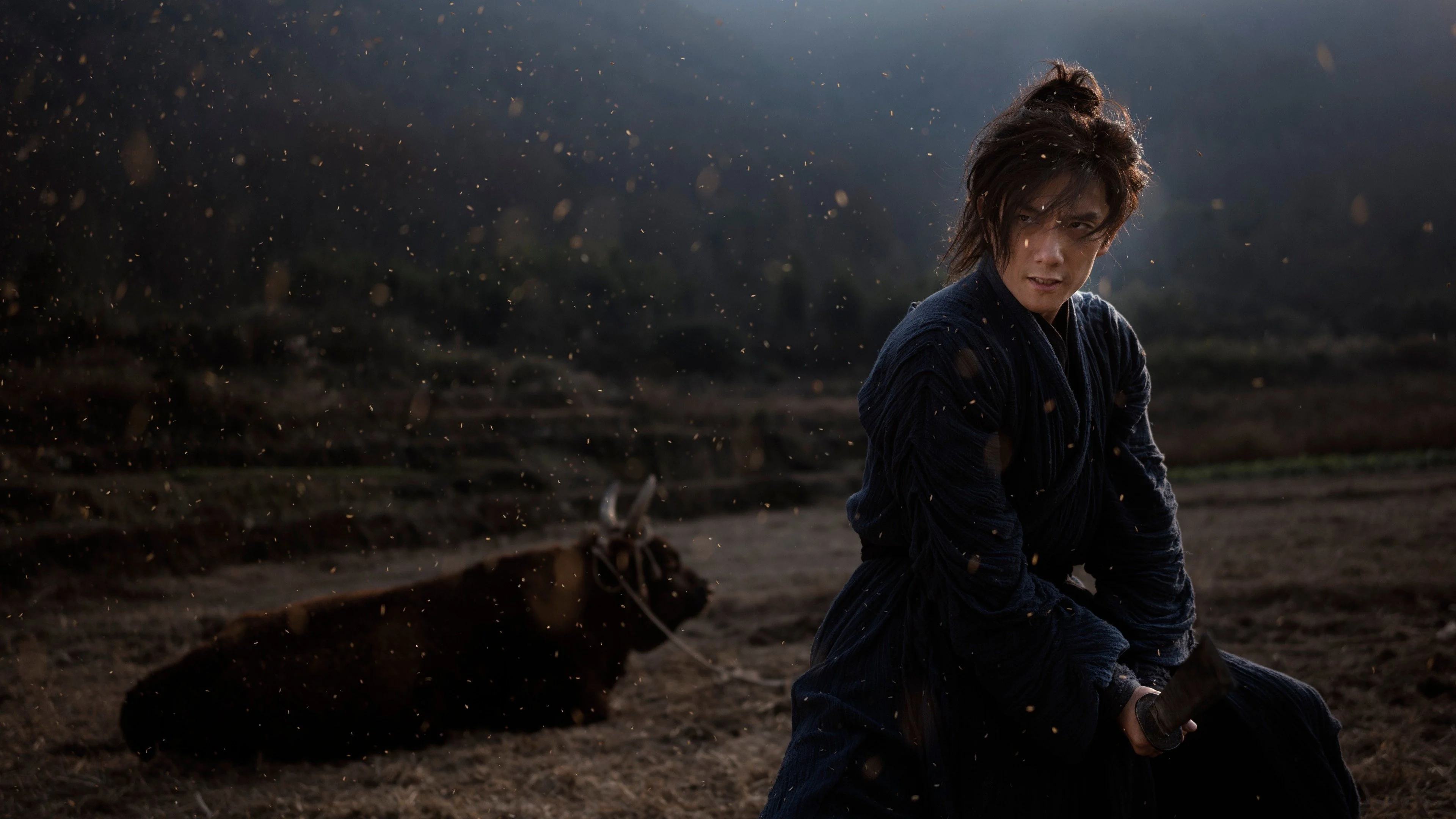 Lệnh Truy Nã Giang Hồ - Wanted