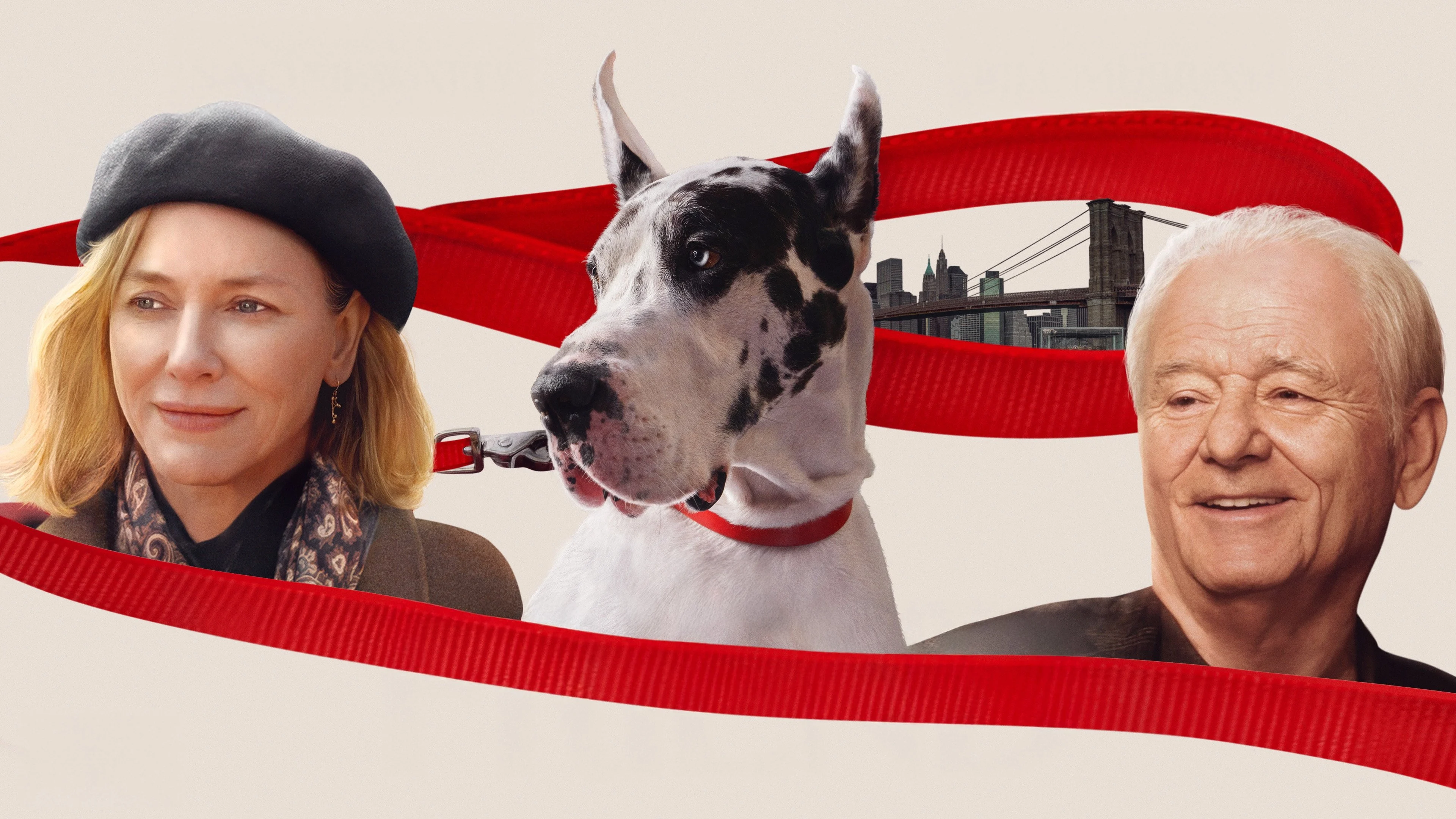 Người Bạn - The Friend