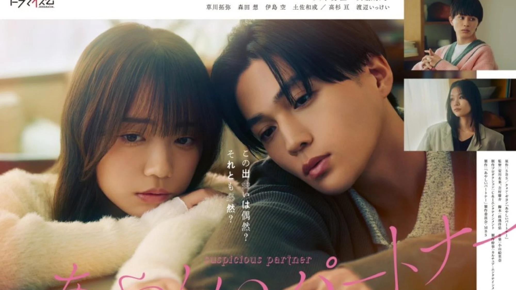 Đối Tác Đáng Ngờ (Bản Nhật) - Ayashii Partner