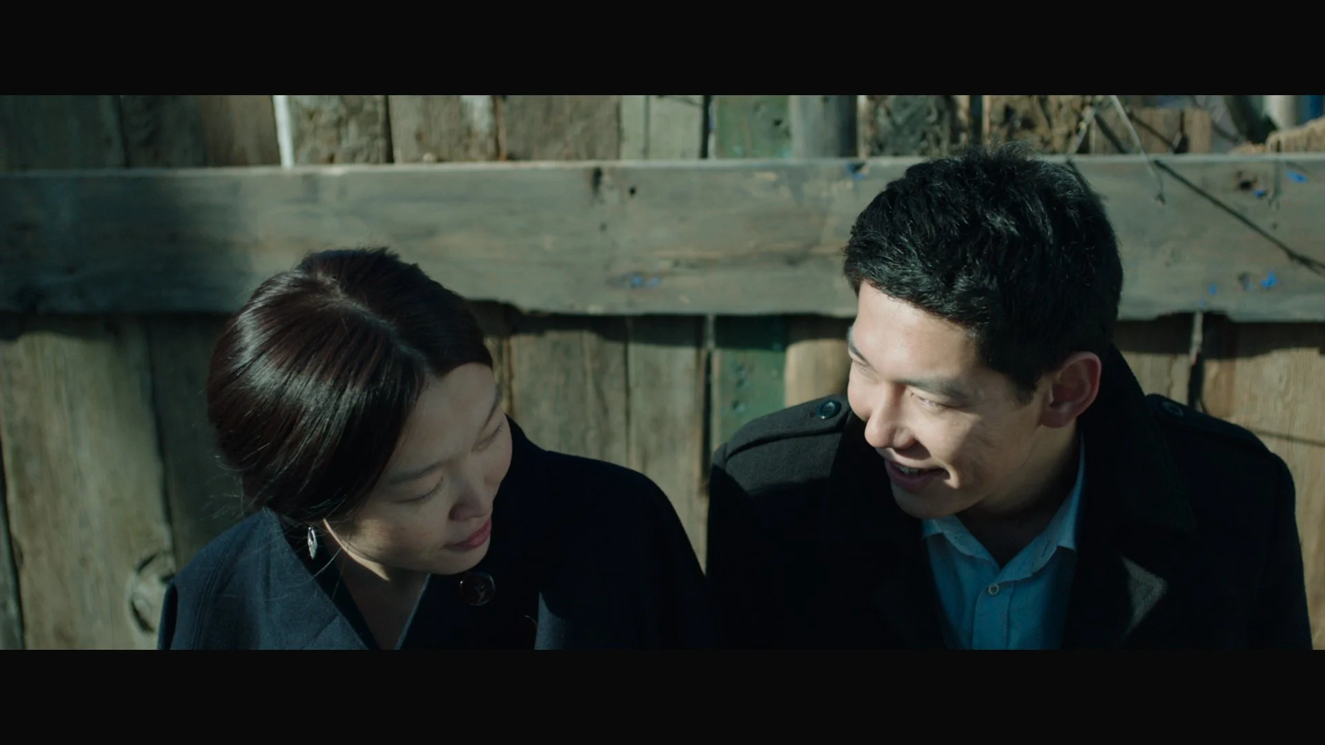 những con mòng biển - The Gulls