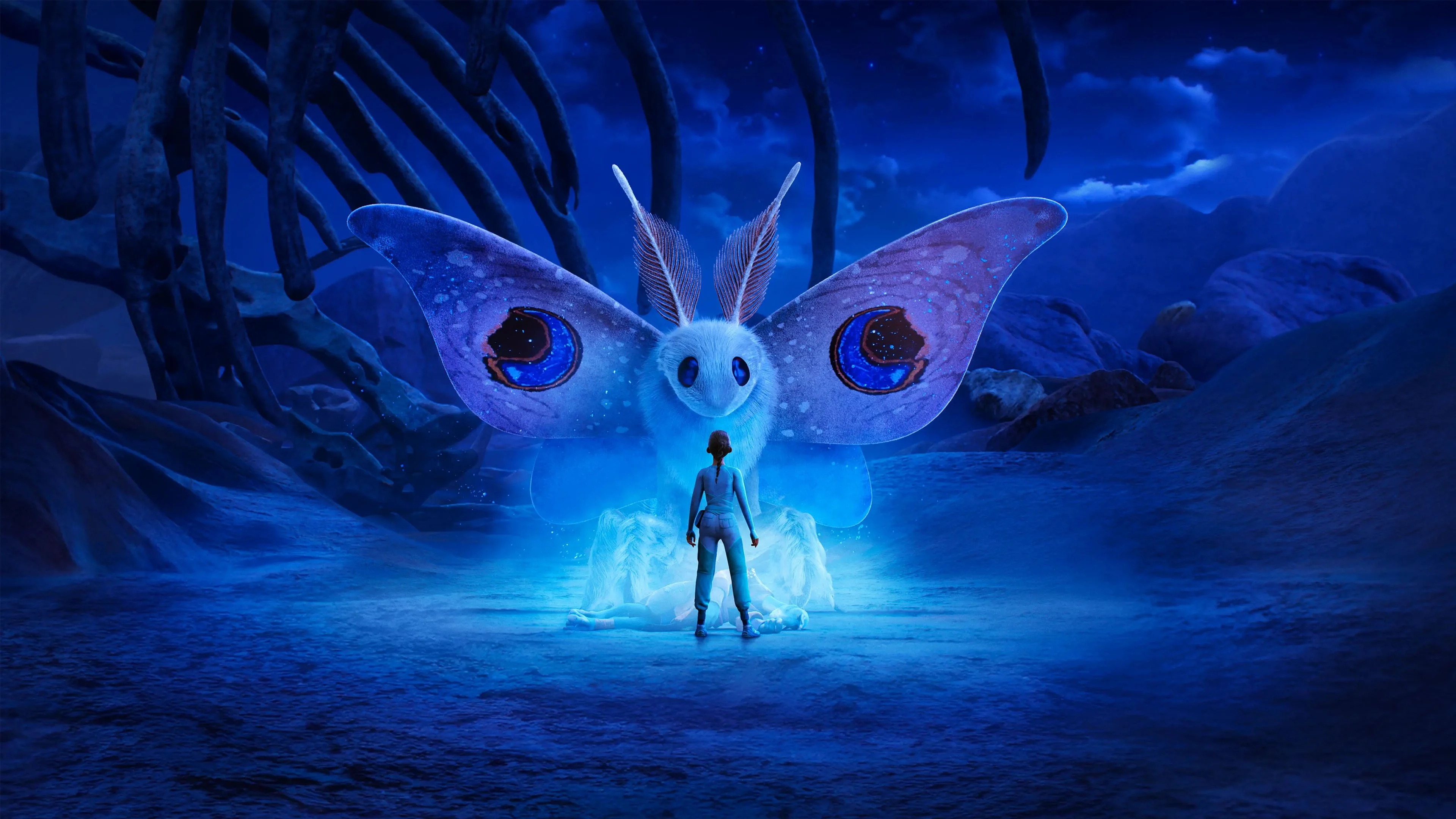 Đi Tìm WondLa (Phần 3) - WondLa (Season 3)