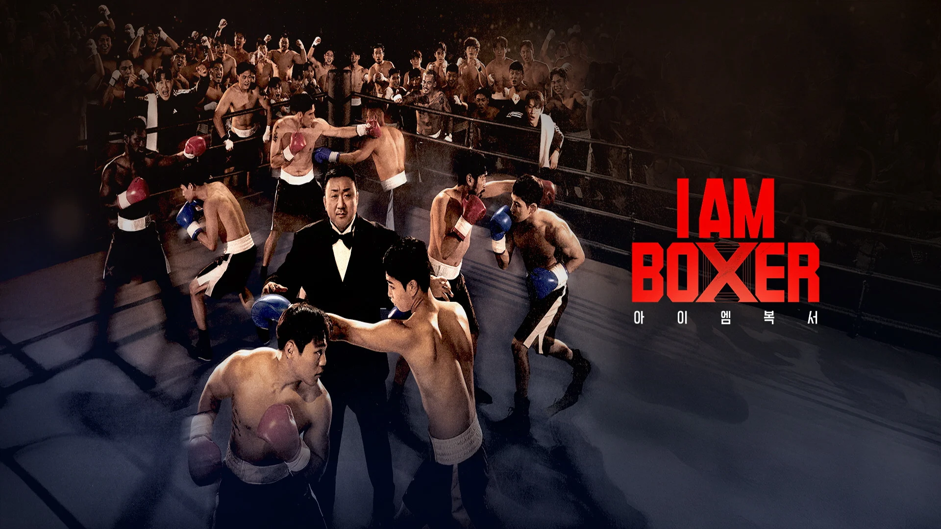 Tay Đấm Bốc - I Am Boxer